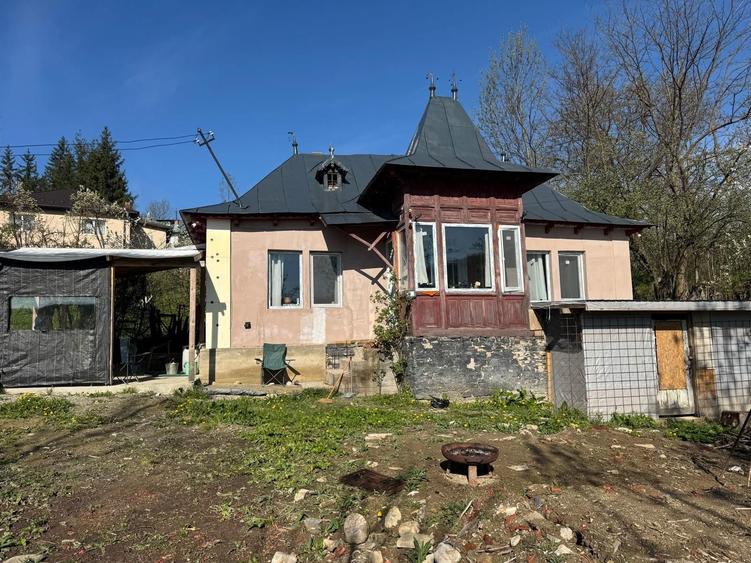 Provita de Sus (Plaiu) casa + teren 700 mp de vanzare - 8