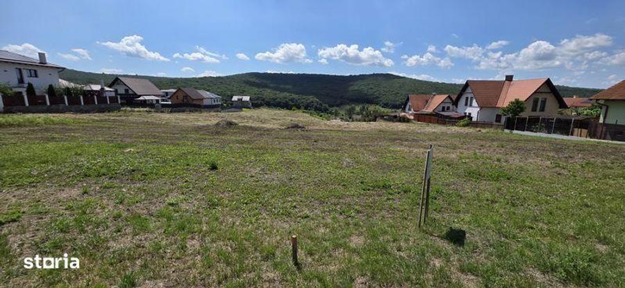 Teren intravilan cu PUZ,constructii,case in Corunca - 6