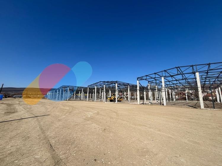 Hale de vanzare – 600 mp, open space, acces TIR, zona intrare Baciu - 7