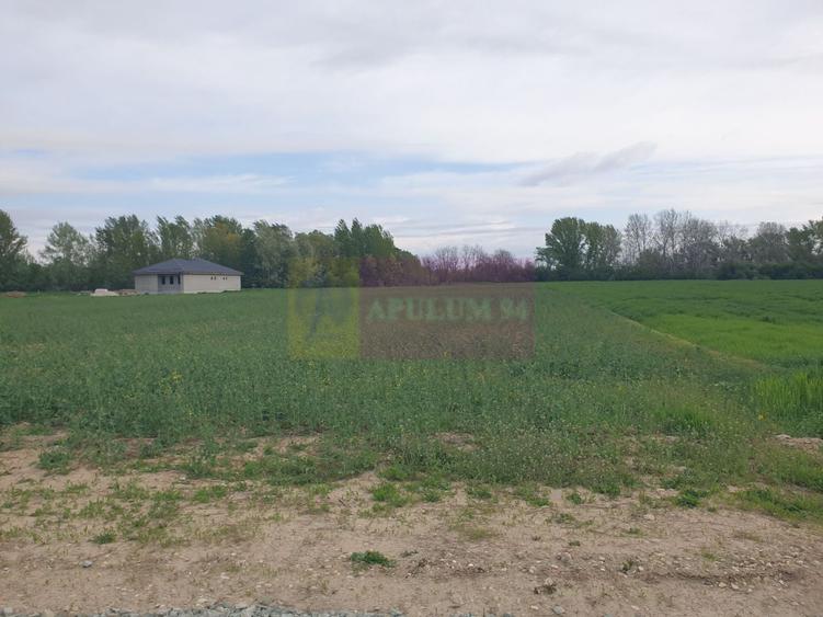 Teren ideal dezvoltare imobiliară în Măgurele strada Atmosferei - 7