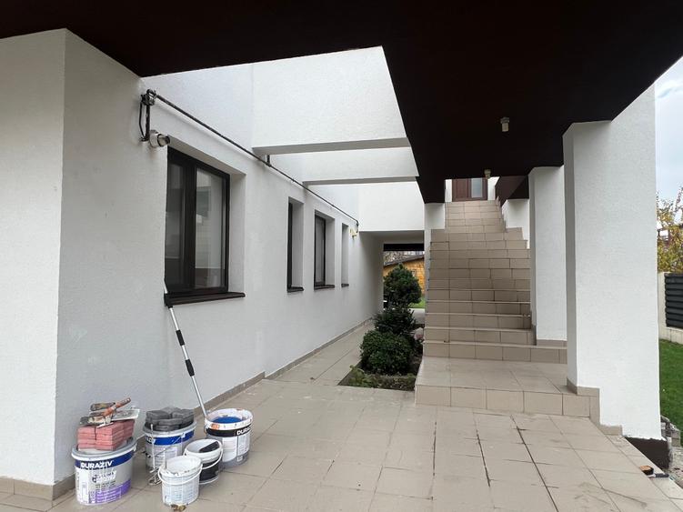 Dimitrie Leonida Metrou - 43