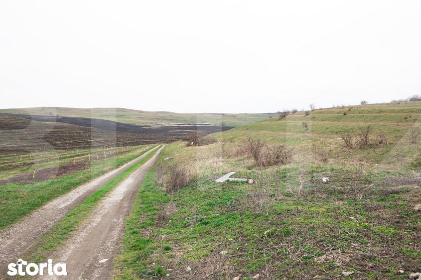 Teren 5800 mp in Campenesti cadru natural deosebit, ideal pentru i - 7