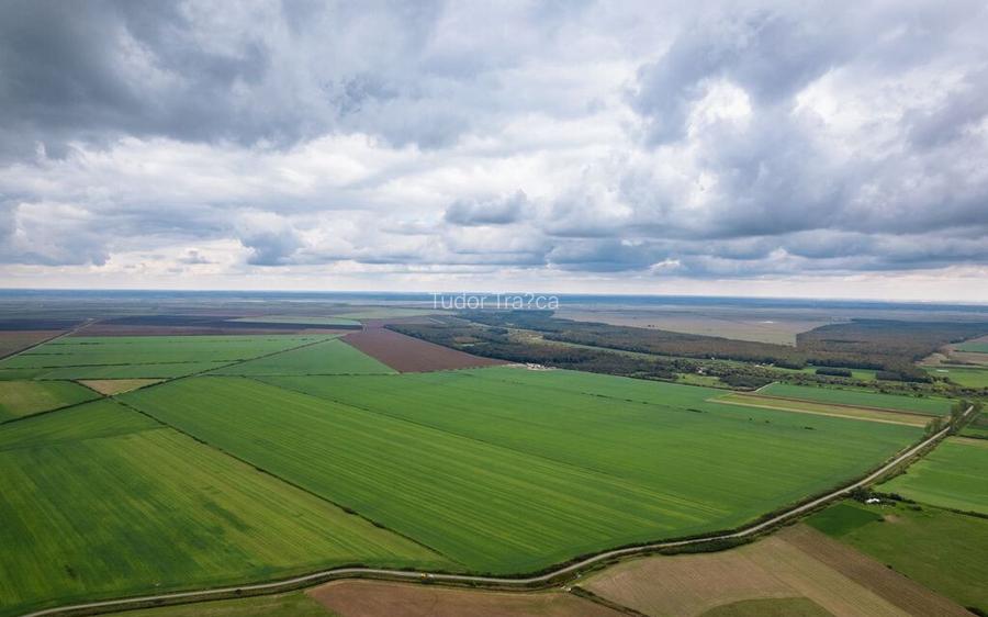 Teren arabil de 985 hectare in Bihor Teren arabil de 985 hectare in Bihor