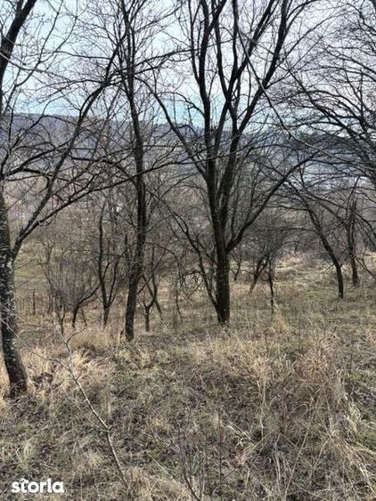 Teren de vanzare Fieni Dambovita - 6