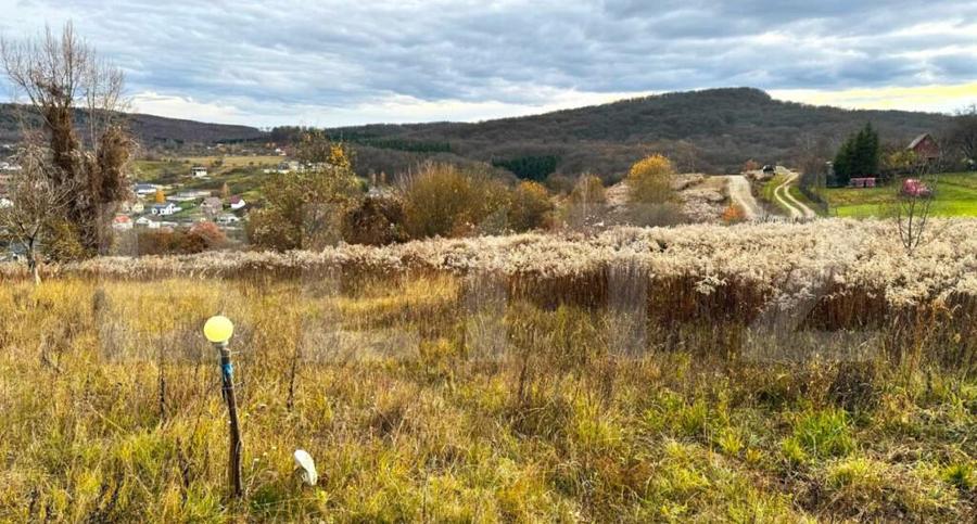 Teren extravilan de vanzare, 2400 mp, zona Valea Ghinzii - 5