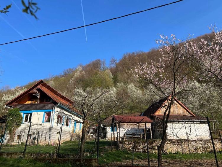 Pret actualizat | Proprietar vand casa la munte cu 6.019 mp teren, gradina, livada, utilitati complete Bacaia (Geoagiu) - 5