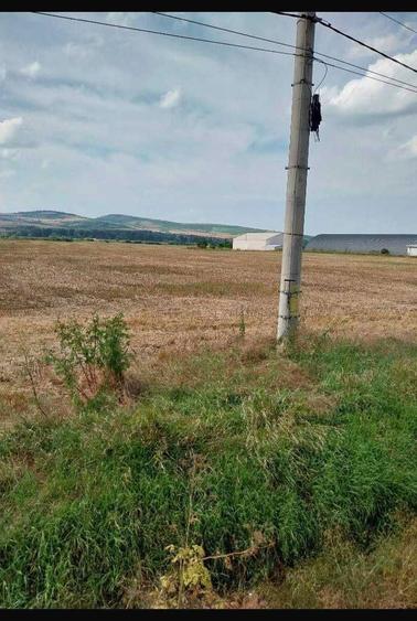 3 Terenuri extravilane, Ungheni, jud Mures- zone cu potential! - 3