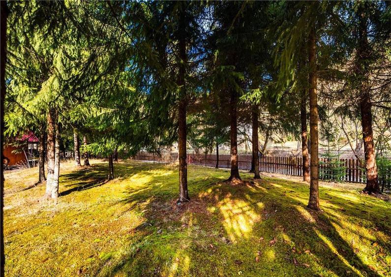 Pensiune cu 10 camere si 3700 mp teren, Arieseni - 14