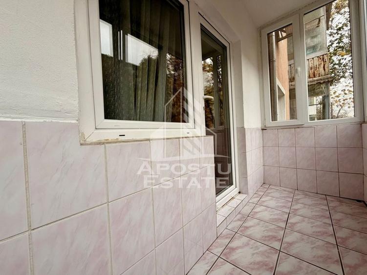 Apartament cu 2 camere, pet friendly, zona Lipovei - 1