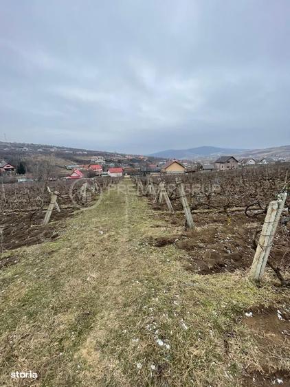 Teren ideal pentru dezvoltare 4.209mp, Chicerea, Comuna Tomesti - 3