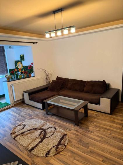Apartament 2 camere, Parter, Banat - 5