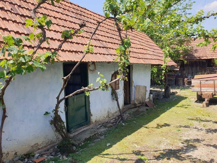 Casa cu gradina de vanzare - 2