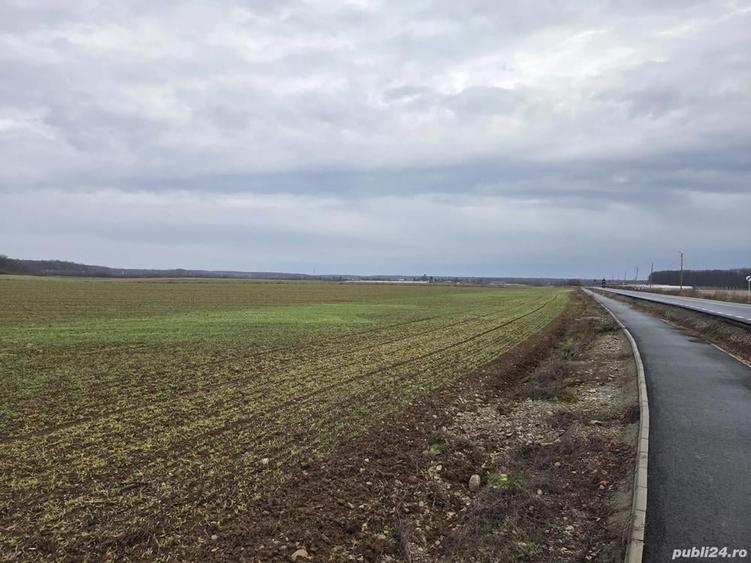 Teren 15000 mp intr. in Scrovistea langa Snagov - 8