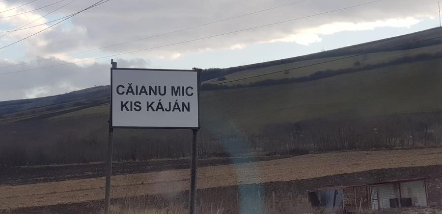 Vând 1200m teren intravilan și 1700m teren extravilan în Comuna Căianu, jud. Clu - 3