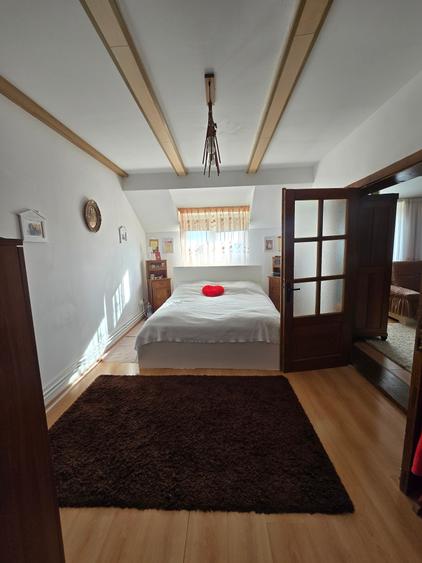 Utvin-Central-Vila S+P+E+M-360mp-2 accese-Garaj - 15