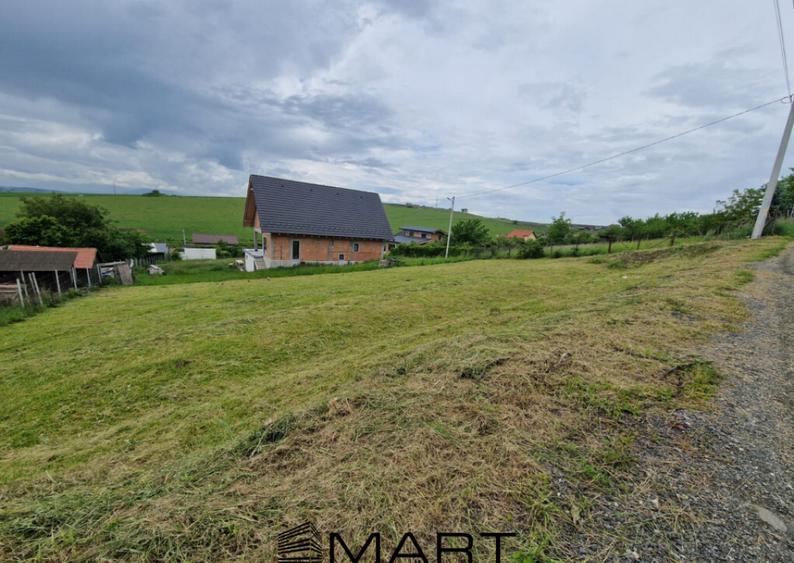 Teren intravila Sura Mare 1000mp - 1