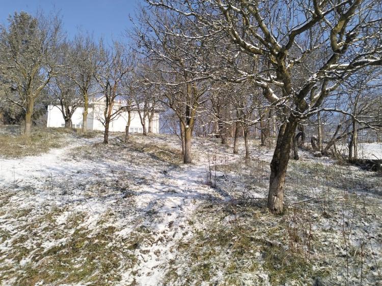 Moșia boierească din vârf de deal, Scorțeni - Prahova, comision 0% - 6