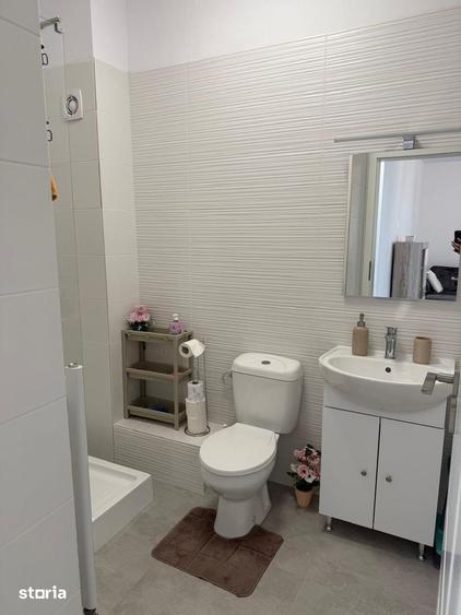 Prima Inchiriere - Apartament 2 Camere - Ilie Petre 8 - 9