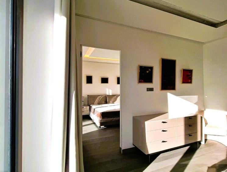 Penthouse 5 camere Kiseleff - 10