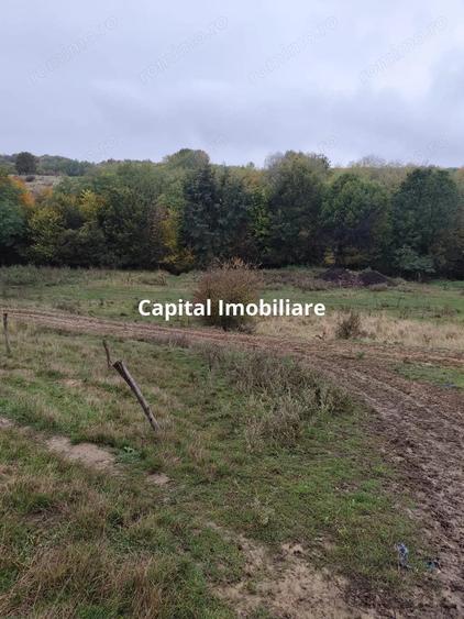 VIla de vanzare Teisani Stubeiu 11250 mp - 4