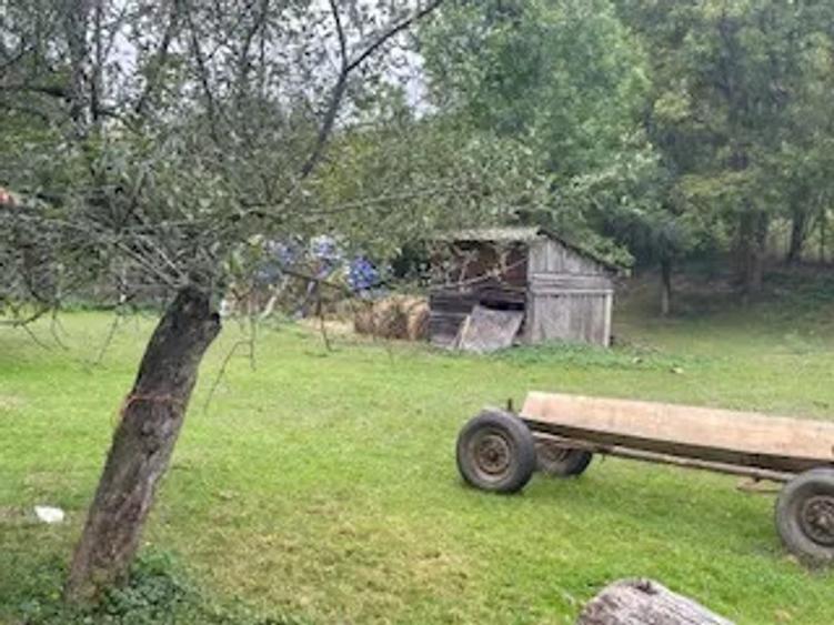 Casa tradi?ionala din lemn - 4