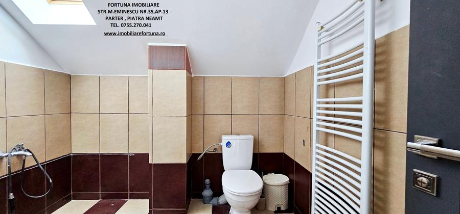 Vila cocheta, prevazuta cu garaj si 500 mp teren, com.Alexandru cel Bun - 8