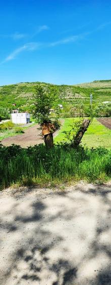 Vând 1200m teren intravilan și 1700m teren extravilan în Comuna Căianu, jud. Clu - 8