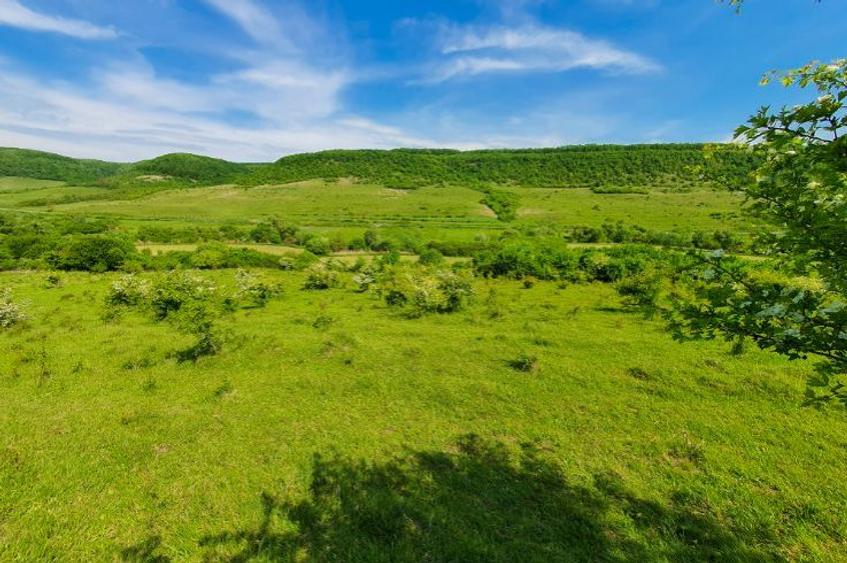 Teren extravilan superb în satul Ciumăfaia, comuna Borșa, Cluj.  - 2