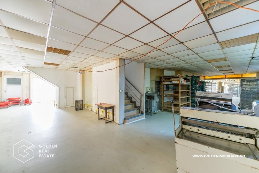 Locuinta de familie cu spatiu ideal pentru dezvoltarea unei afaceri - 13