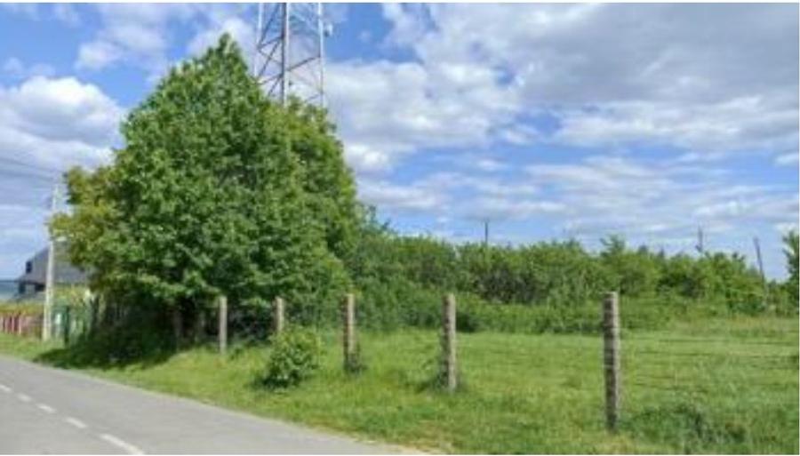 Prorietate  formata din Teren intravilan, casa si teren extravilan - 2