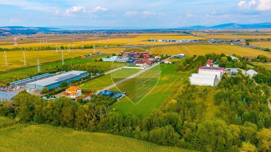 Teren Construcții intravilan de 11769 mp, în Sânpetru