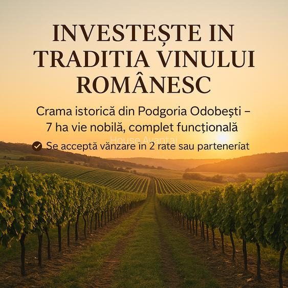 CRAMĂ FUNCȚIONALĂ DE VÂNZARE ÎN INIMA PODGORIEI ODOBEȘTI (VRANCEA) CRAMĂ FUNCȚIONALĂ DE VÂNZARE ÎN INIMA PODGORIEI ODOBEȘTI (VRANCEA)