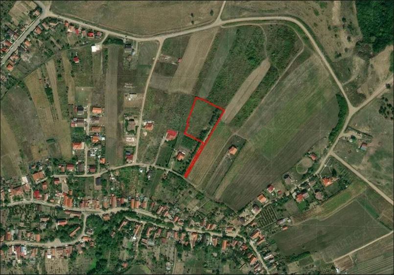Teren intravilan - Saldabagiu de munte - 5000 mp. - IMOBIHOR - 1