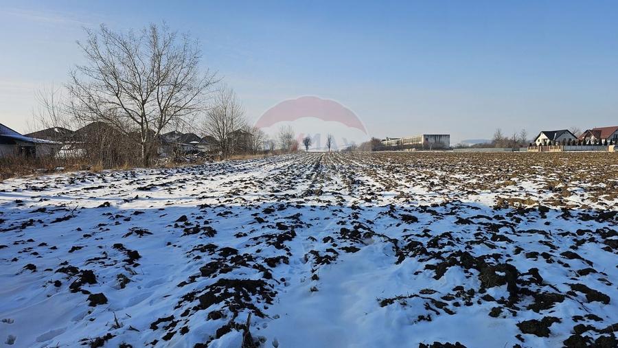 Teren intravilan 2200mp, Suceava / DJ208D - 5