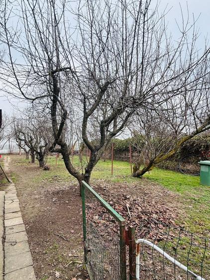 Vand Casa+teren , sat Nuci - 7