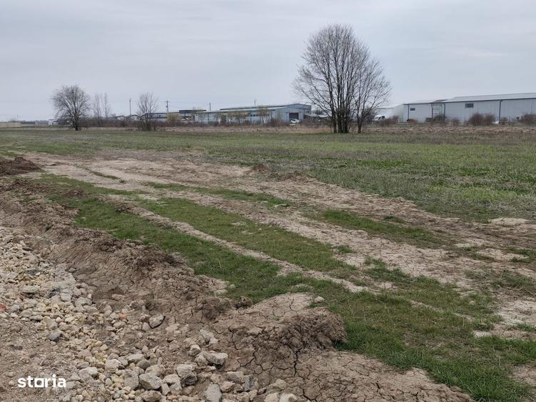 Fara Comisioane Loturi Teren Constructii Hale In Zona De Hale Merita V - 1