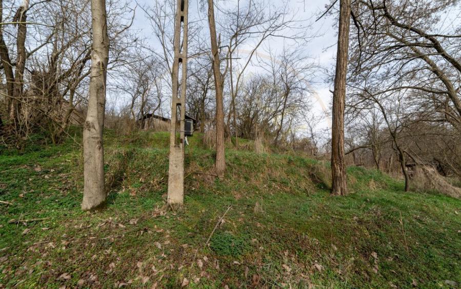 Teren de vanzare 1221 mp in Budeasa Mica, zona lini? - 5