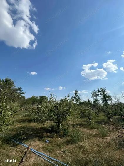 Casa de vanzare in Ion Roata, judetul Ialomita - 7