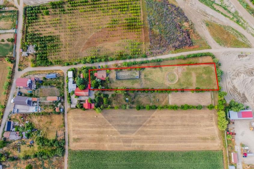 Ferma de cai andaluzi de vanzare - Zadareni - 3