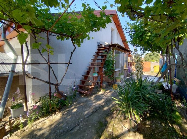 Casa in Dudovicesti, teren 950 mp - 3