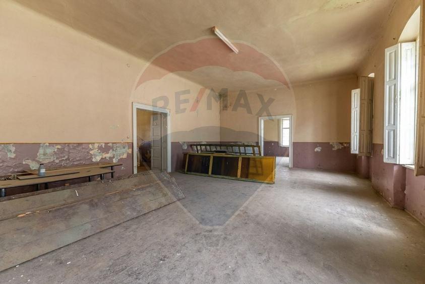 Conac aristocratic secolul XIX , domeniu  2,5 hectare — Păuliș, Arad - 10