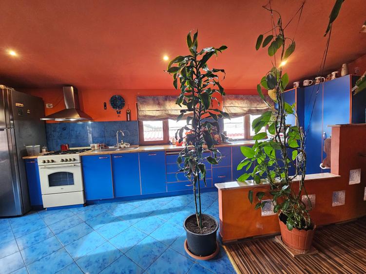 Coiciu Casa de Vanzare Casa din Vis P+M Parcare in Curte - 21