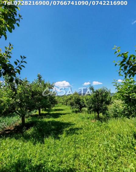 Casa situata in Samarinesti, sat Valea Bisericii - 11