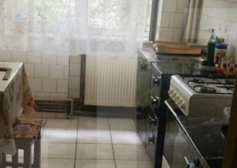 Apartament de vanzare, cu 2 camere, 62 mp, zona Podgoria - 2