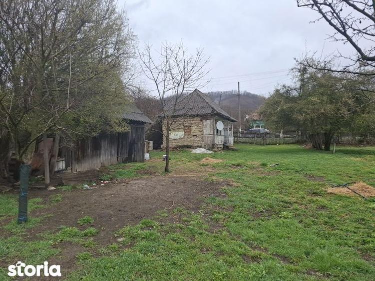 Teren de vanzare Gheboieni DB intravilan+extravilan - 8