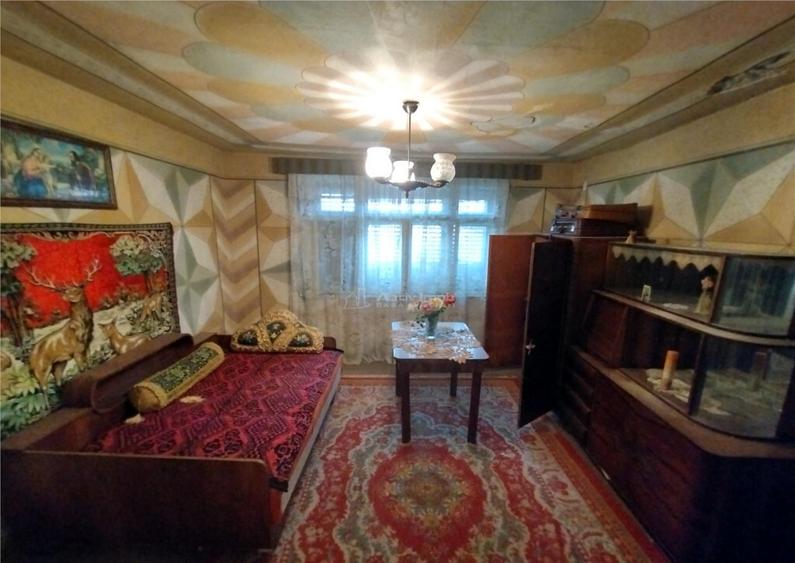 Bogodint, Casa 440mp cu 4 Hectare Teren, Pret Negociabil - 11