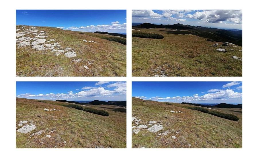 Bucegi zona alpina Ski Resort Padina Pestera - 5