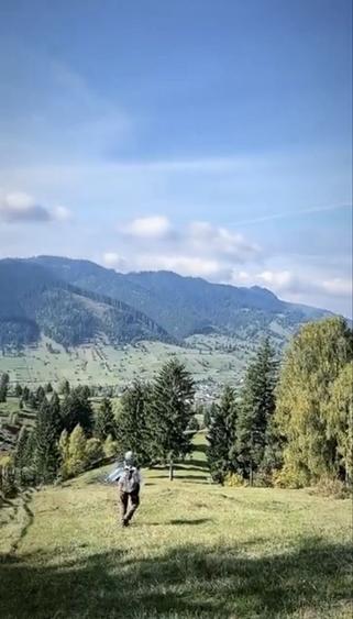 Teren 3 hectare Sadova Panorama Bucovinei - 2