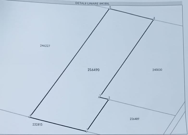 Teren 3342 mp intravilan cu PUZ si CU- zona Hornbach, bulevard Aurel Vlaicu - 3
