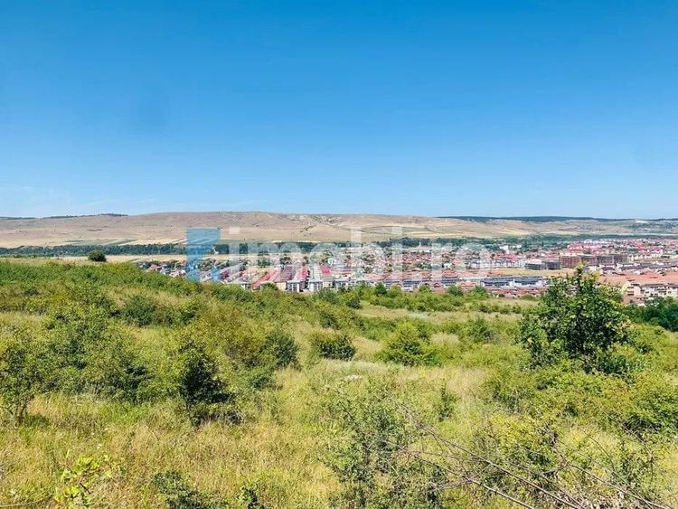 Teren Intravilan, 19400mp, zona locuinte colective/blocuri, zona Terra Floresti - 1